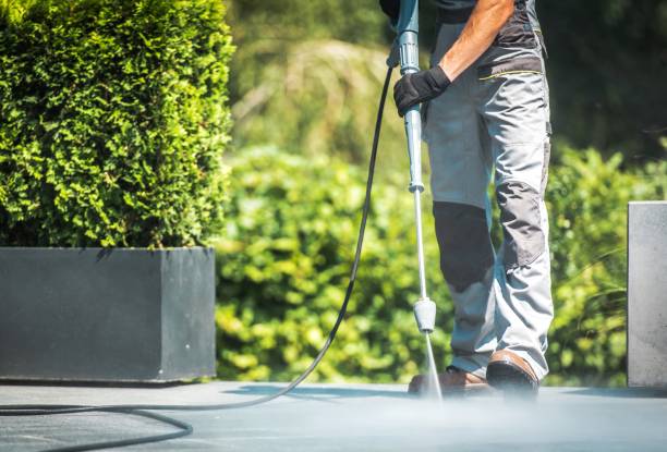 Best Roof Washing  in West Vero Corridor, FL